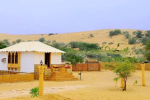 banner-1